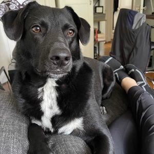 Meet your Posher, Mark